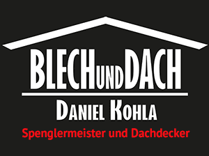 Blech und Dach Logo